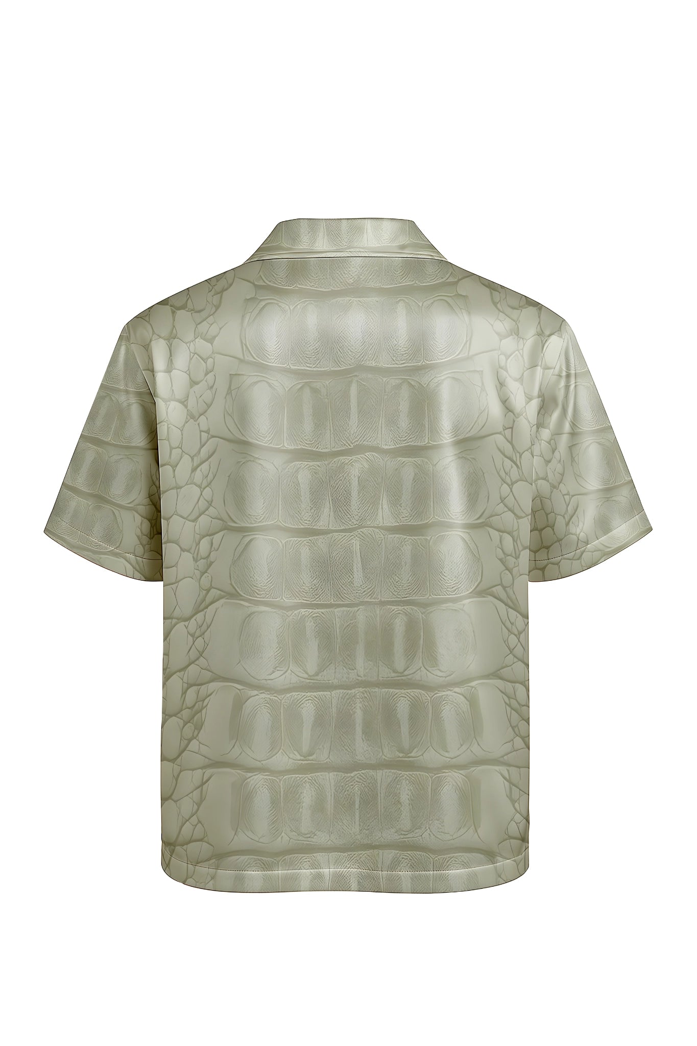 Stone Back
